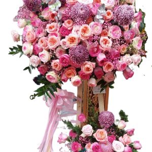Khám phá Shop hoa tươi Quận Bình Thạnh tổng hợp các loại hoa đẹp