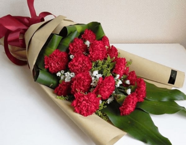 hoa cẩm chướng màu đỏ
