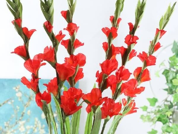 Chia Sẻ Cách Cắm Hoa Huệ Đỏ Để Bàn Thờ