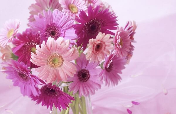 Cắm hoa bàn thờ tập 34 | Lẳng HOA ĐỒNG TIỀN ĐỎ| Gerbera Flower – Hướng Dẫn  Cắm Hoa Đẹp