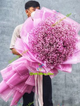[Big Size] Hoa babi hồng TY 227
